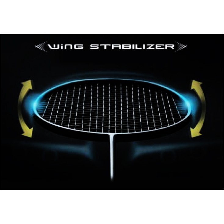 Wing Stabilizer